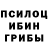 Галлюциногенные грибы прущие грибы Zbignev Setkovskij