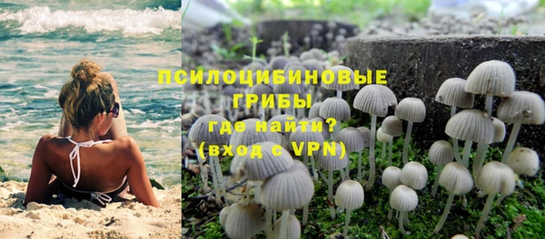 ПСИЛОЦИБИНОВЫЕ ГРИБЫ Дмитровск