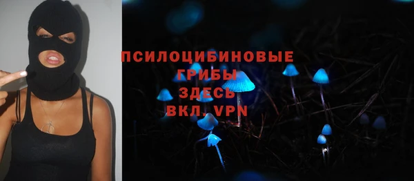 ПСИЛОЦИБИНОВЫЕ ГРИБЫ Дмитровск