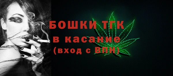 молекула духа Дмитриев