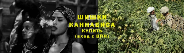 молекула духа Дмитриев