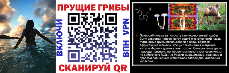 закладка  Евпатория  Галлюциногенные грибы MAGIC MUSHROOMS 